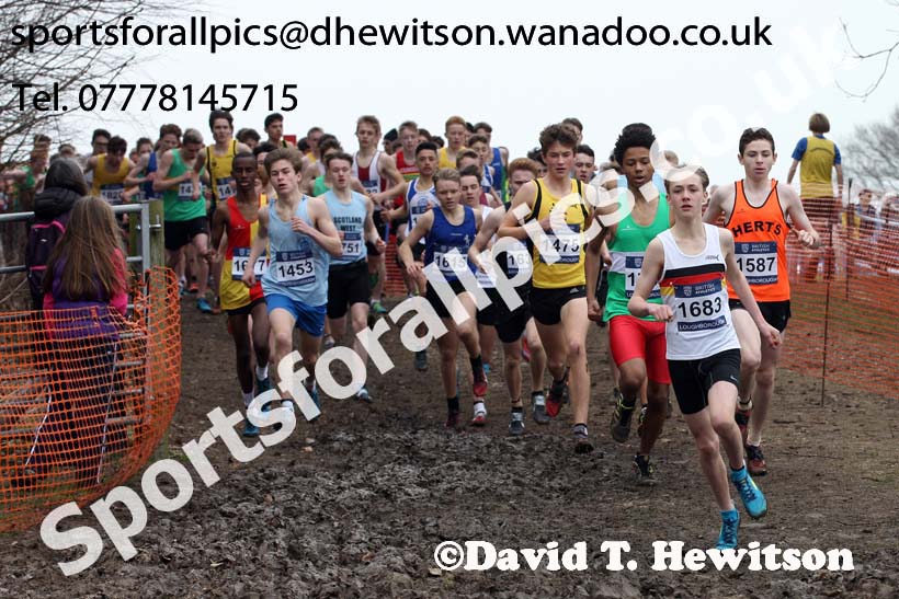 Boys under-15s Inter Counties Cross Country, Prestwold Hall, Loughborough. Photo: David T. Hewitson/Sports for All Pics